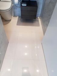 Scotts Square (D9), Apartment #604833971
